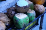 Coconuts For Sale